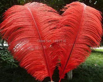 Wholesale 50 pcs / lot Beautiful Red ostrich feather 16-18inches / 40-45cm DIY jewelry decoration / wedding celebration
Wholesale 50 pcs / lot Beautiful Red ostrich feather 16-18inches / 40-45cm DIY jewelry decoration / wedding celebration