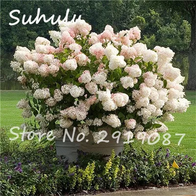 0D86B32758992D0F724F96FC805B70E6