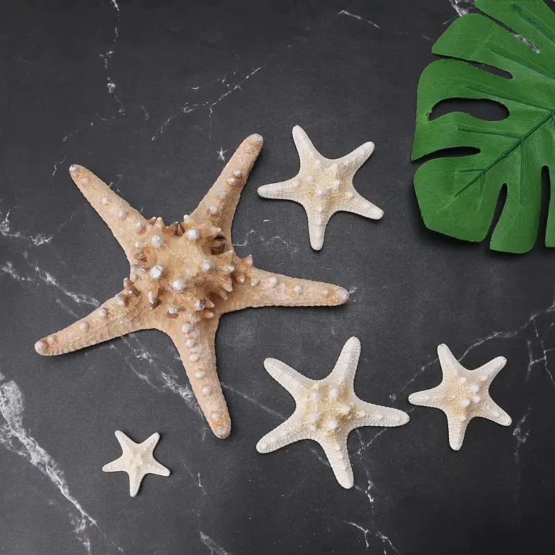 White Natural Starfish Craft Ornament Natural Sea Star DIY Beach Cottage Wedding Party Room Mini Gardening Decor
White Natural Starfish Craft Ornament Natural Sea Star DIY Beach Cottage Wedding Party Room Mini Gardening Decor