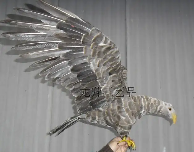 simulation bird large 45x80cm gray eagle bird model toy craft,photography,teaching props,home decoration a1922
simulation bird large 45x80cm gray eagle bird model toy craft,photography,teaching props,home decoration a1922