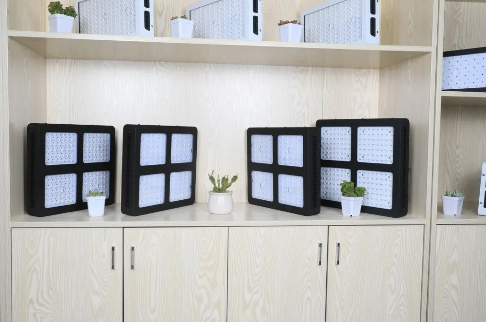 showroom6