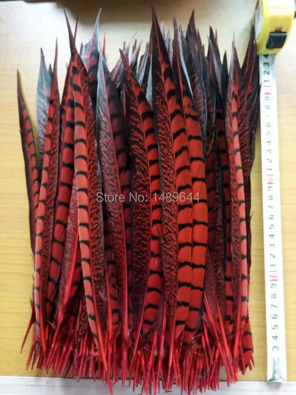 New arrival! 10 PCS 30-35 cm / 12-14 inches red pheasant feathers, Amherst chicken tail feathers
New arrival! 10 PCS 30-35 cm / 12-14 inches red pheasant feathers, Amherst chicken tail feathers