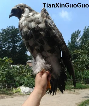 gray feathers eagle bird hard model prop want-to-open wings eagle large 50cm handicraft home garden decoration s1849
gray feathers eagle bird hard model prop want-to-open wings eagle large 50cm handicraft home garden decoration s1849