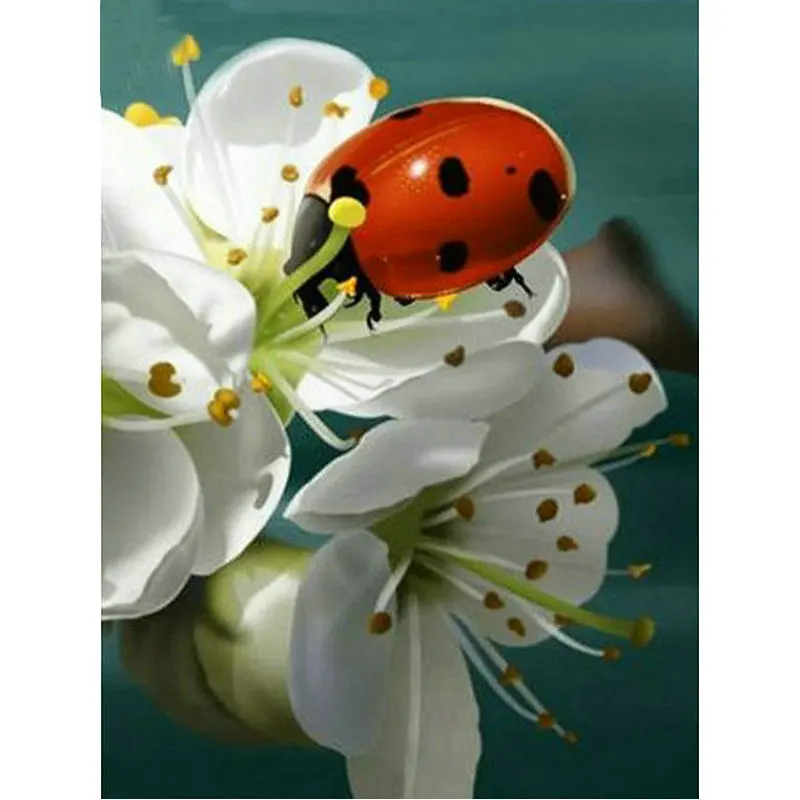 DIY Diamond Embroidery Ladybug and flower 5D Diamond Painting Cross Stitch Mosaic Pattern Full square Rhinestone Home Decor
DIY Diamond Embroidery Ladybug and flower 5D Diamond Painting Cross Stitch Mosaic Pattern Full square Rhinestone Home Decor