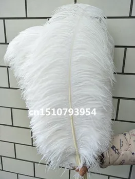 New wholesale 10pcs big beautiful natural white ostrich feather 26-28inch/65-70cm Decorative diy stage performance Wedding
New wholesale 10pcs big beautiful natural white ostrich feather 26-28inch/65-70cm Decorative diy stage performance Wedding