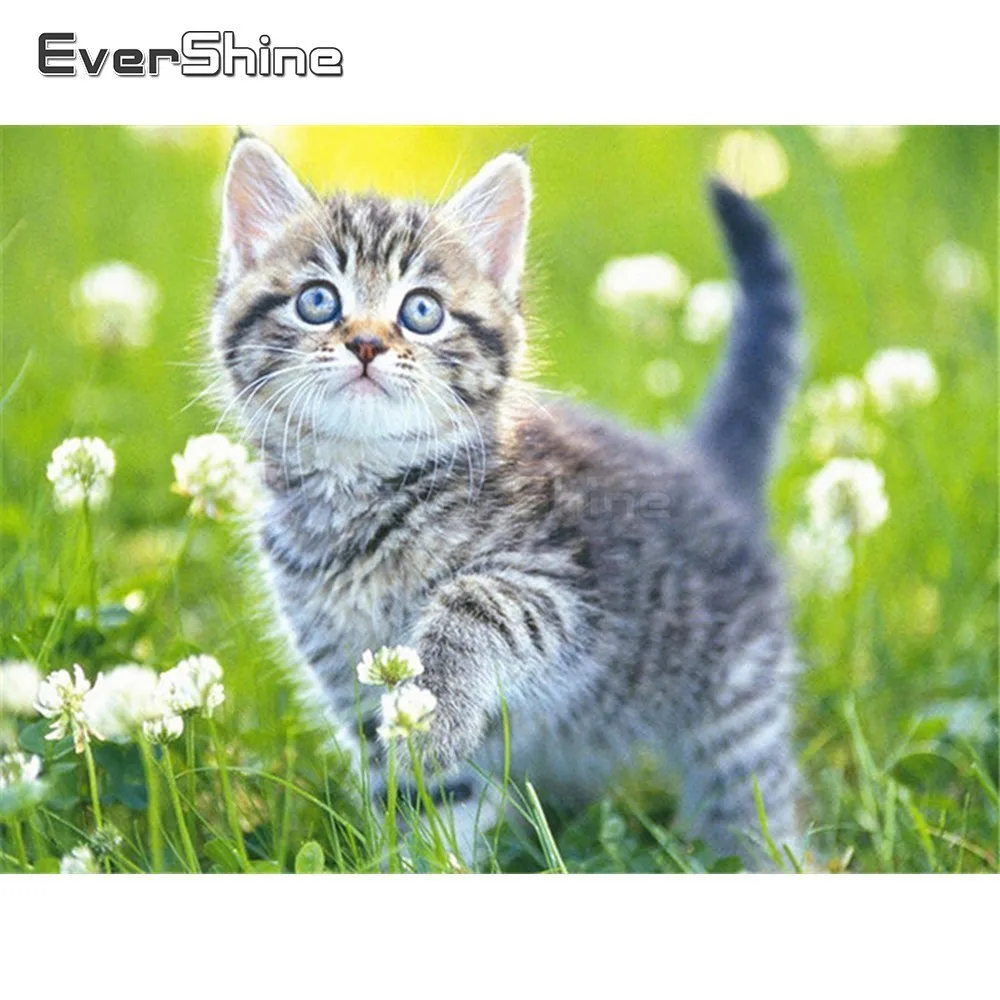 EverShine Diamond Embroidery Cat 5D Diamond Painting Full Drill Square Animals Picture Of Rhinestones Diamond Mosaic Wall Decor
EverShine Diamond Embroidery Cat 5D Diamond Painting Full Drill Square Animals Picture Of Rhinestones Diamond Mosaic Wall Decor