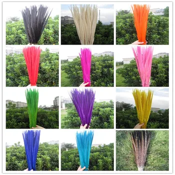 100pcs beautiful pheasant feather multicoloured select long 55-60 cm 22-24 inch feathers wedding decorate 
100pcs beautiful pheasant feather multicoloured select long 55-60 cm 22-24 inch feathers wedding decorate