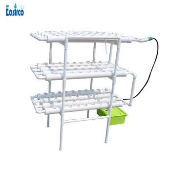 NFT Hydroponics system with 108pcs of net cup. Home hydroponics system. Nutrient Film Technique (NFT)
NFT Hydroponics system with 108pcs of net cup. Home hydroponics system. Nutrient Film Technique (NFT)