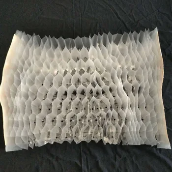 Nutrition Plastic Nursery Bag Full Size Plant Transplant Vegetable Bag Cellular Nursery Pot Seedling Raising Bag Garden Supplies
Nutrition Plastic Nursery Bag Full Size Plant Transplant Vegetable Bag Cellular Nursery Pot Seedling Raising Bag Garden Supplies