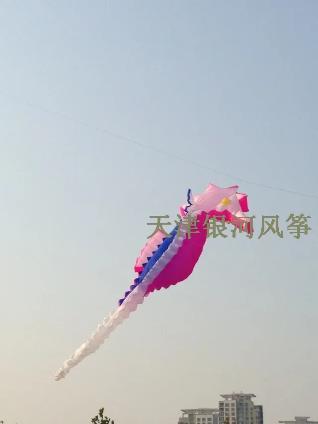 large soft kite 10 meters large kite hippocampus giant Software kite rainbow outdoor new kites for adults outdoor fun toys bar
large soft kite 10 meters large kite hippocampus giant Software kite rainbow outdoor new kites for adults outdoor fun toys bar