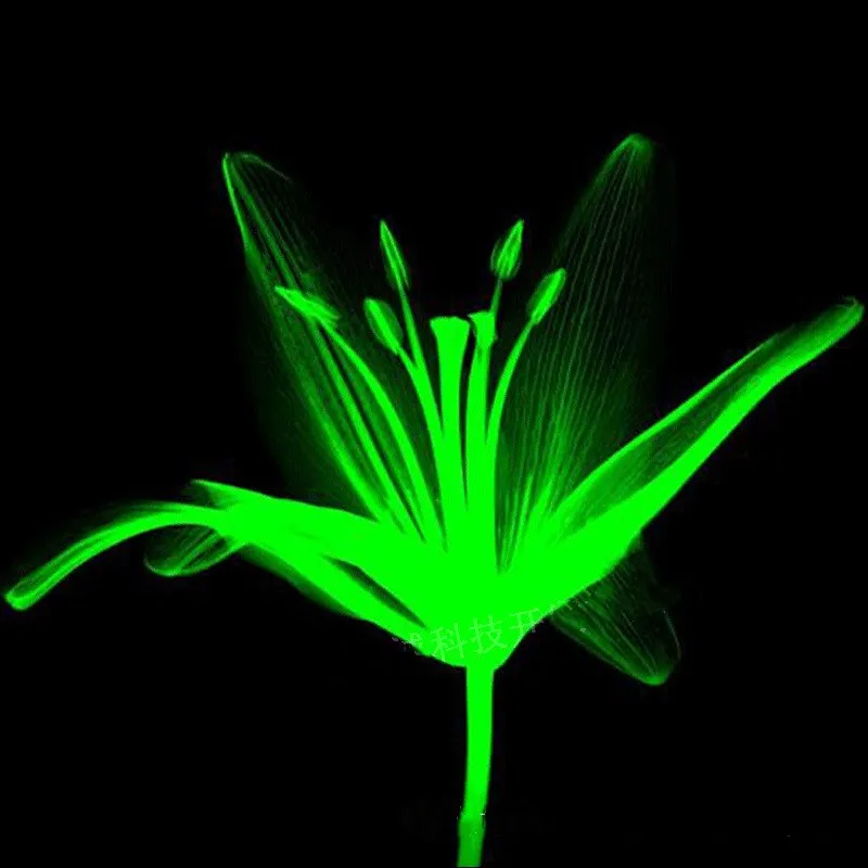100g Ultra Green glow in the dark High-gloss luminous powder Environmentally friendly luminescent ink paint powder
100g Ultra Green glow in the dark High-gloss luminous powder Environmentally friendly luminescent ink paint powder