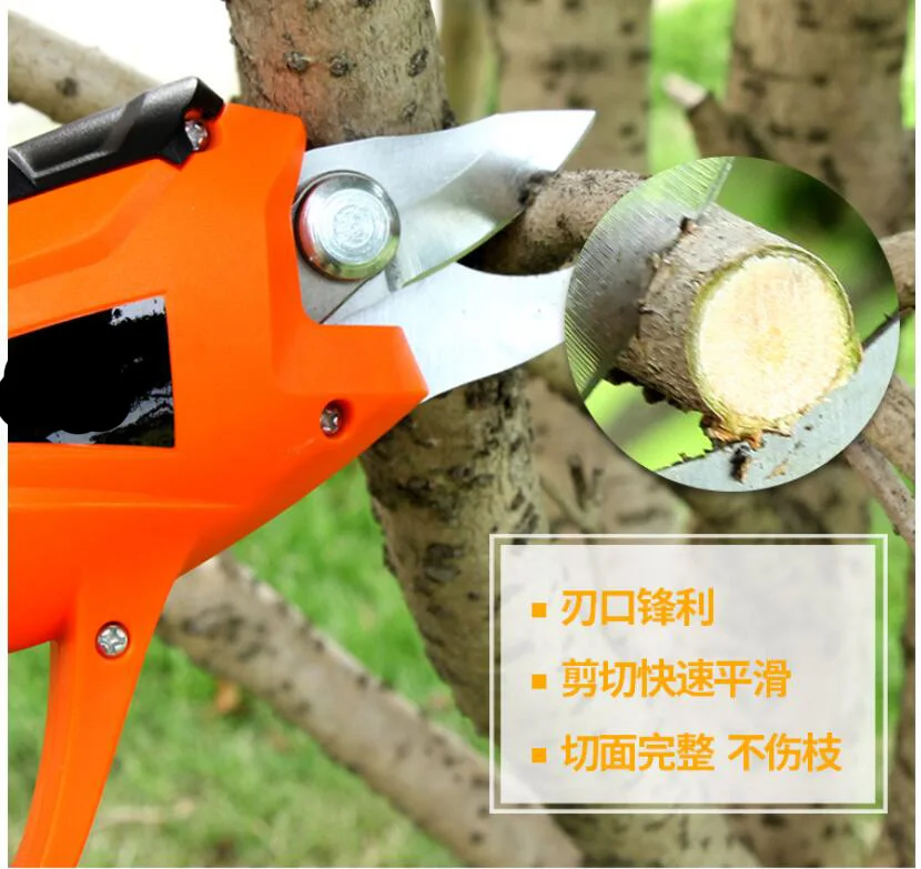 Electric Tree Branch Cutter Shear Garden Scissors Cordless Secateur Branch Cutter Electric Fruit Pruning Tool Shear to Ol Fruit
Electric Tree Branch Cutter Shear Garden Scissors Cordless Secateur Branch Cutter Electric Fruit Pruning Tool Shear to Ol Fruit