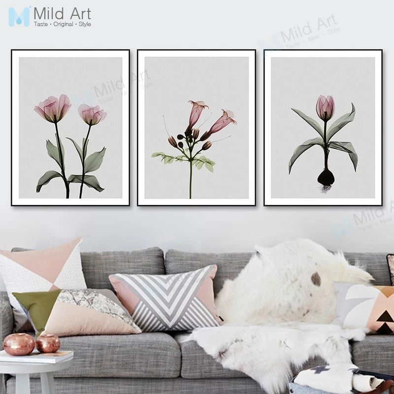 Minimalist Transparent Pink Flowers Plants Poster and Prints Nordic Living Room Wall Art Picture Home Cafe Decor Canvas Painting
Minimalist Transparent Pink Flowers Plants Poster and Prints Nordic Living Room Wall Art Picture Home Cafe Decor Canvas Painting