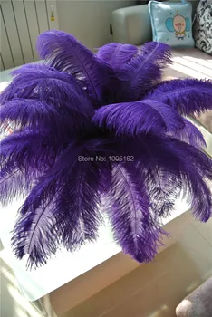 Free Shipping 100pcs 14-16inch purple Ostrich Feathers plumes for Wedding centerpiece decor event party supply
Free Shipping 100pcs 14-16inch purple Ostrich Feathers plumes for Wedding centerpiece decor event party supply