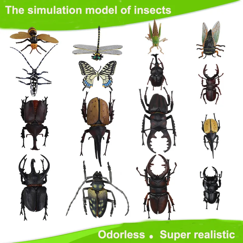 Children Large Plastic 3D Butterfly Dragonfly Beetle... Insect Model Interesting Science activity toys
Children Large Plastic 3D Butterfly Dragonfly Beetle... Insect Model Interesting Science activity toys
