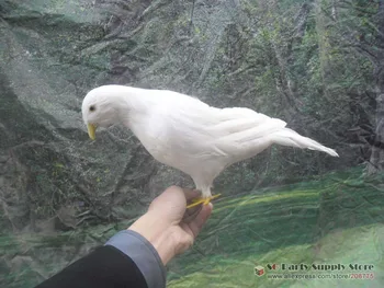 Costume Simulation white Pigeon for Party Bar Garden Decoration products feather furnishings shooting props Free shipping 
Costume Simulation white Pigeon for Party Bar Garden Decoration products feather furnishings shooting props Free shipping