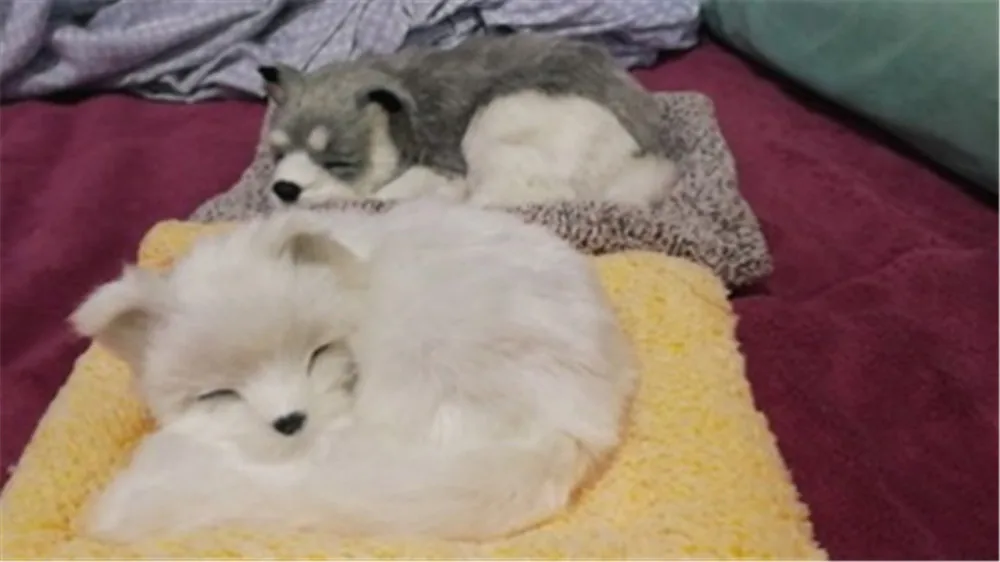 Fancytrader Cute Animals Cat Fox Dog Panda Lying on Blanket Toys Purify Air Cars Decoration Doll3
