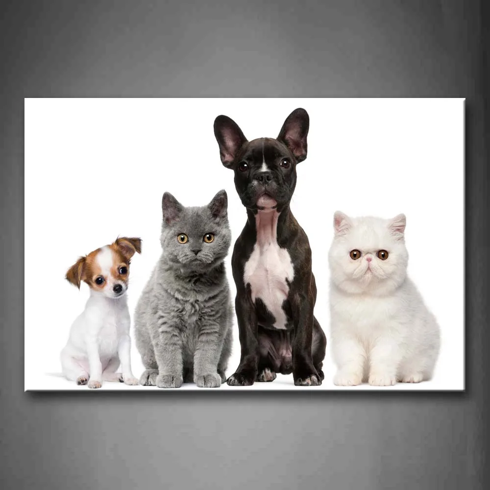 Framed Wall Art Pictures Cute Dogs Cats Canvas Print Animal Modern Posters With Wooden Frames For Home Living Room Decor
Framed Wall Art Pictures Cute Dogs Cats Canvas Print Animal Modern Posters With Wooden Frames For Home Living Room Decor