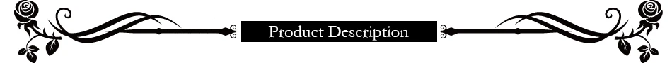 Product Description 2