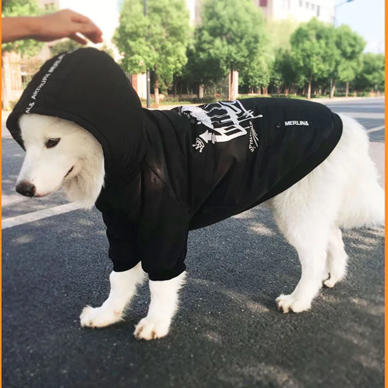 Large Dog, Golden Retriever Samo Is Dressed In A Teddy Bear Ski Suit Winter Coat For Pets In Winter And Spring
Large Dog, Golden Retriever Samo Is Dressed In A Teddy Bear Ski Suit Winter Coat For Pets In Winter And Spring