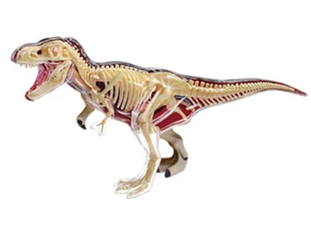 Puzzle assembling children's toy ornaments simulation animal dinosaur Tyrannosaurus organ anatomical model
Puzzle assembling children's toy ornaments simulation animal dinosaur Tyrannosaurus organ anatomical model