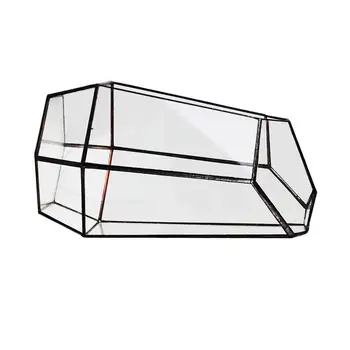 Best House Greenhouse Hexagonal Glass Vase for Fee Garden Miniature Mini Landscape
Best House Greenhouse Hexagonal Glass Vase for Fee Garden Miniature Mini Landscape