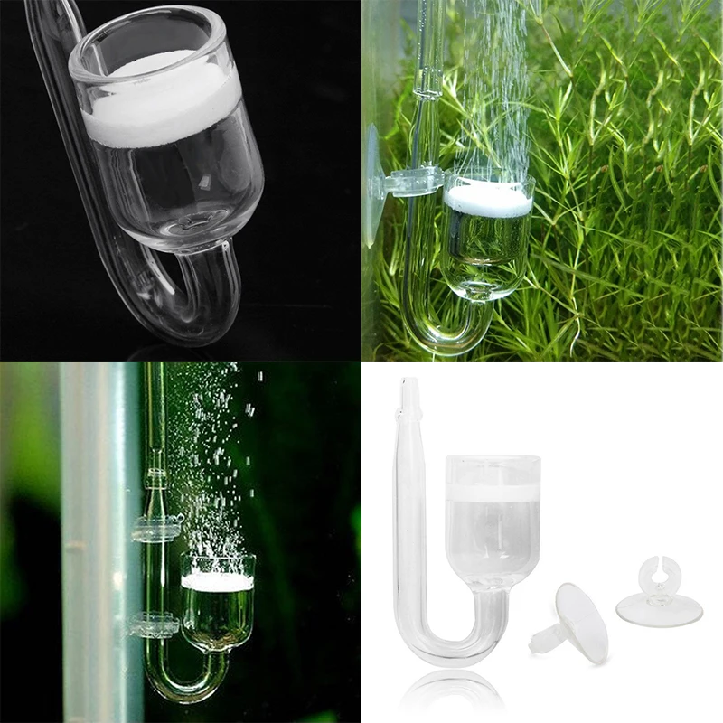 Aquarium CO2 Diffuser Glass Tank Regulator CO2 Atomizer with Ceramic Disc Suction Cups for Fish Tank
Aquarium CO2 Diffuser Glass Tank Regulator CO2 Atomizer with Ceramic Disc Suction Cups for Fish Tank