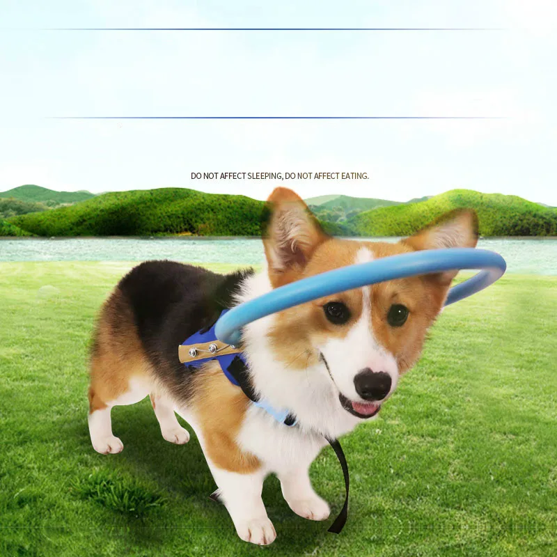 Tyteps Blind Pet Anti-collision Ring Scorpion Cataract Animal Protection Circle Guide Dog Harness For Small Puppy Dogs Yorkies
Tyteps Blind Pet Anti-collision Ring Scorpion Cataract Animal Protection Circle Guide Dog Harness For Small Puppy Dogs Yorkies