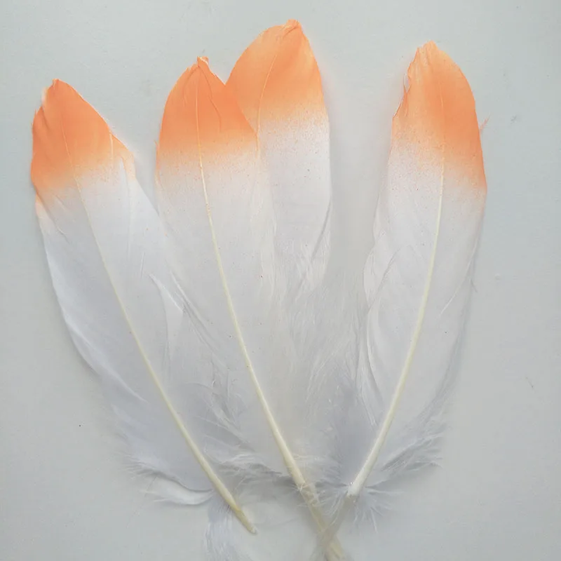 IMG20180729154044