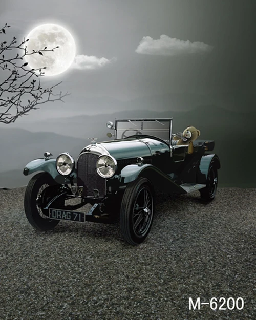 8*12ft vinyl photography backdrop photo studio photographic backdrops galinha pintadinha fotografia background wedding car m6200
8*12ft vinyl photography backdrop photo studio photographic backdrops galinha pintadinha fotografia background wedding car m6200