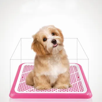 Pet Dog Toilet Indoor Mesh Potty Pan Puppy Pee Poo Training Pad for Small Medium Large Dog TB Sale
Pet Dog Toilet Indoor Mesh Potty Pan Puppy Pee Poo Training Pad for Small Medium Large Dog TB Sale