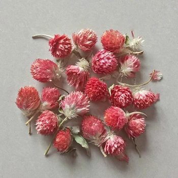 Dried Flower Buds DIY Handmade Craft Material Dried Flowers Wedding Decorations Scrapbook Handmade Card Making Gift for Home
Dried Flower Buds DIY Handmade Craft Material Dried Flowers Wedding Decorations Scrapbook Handmade Card Making Gift for Home