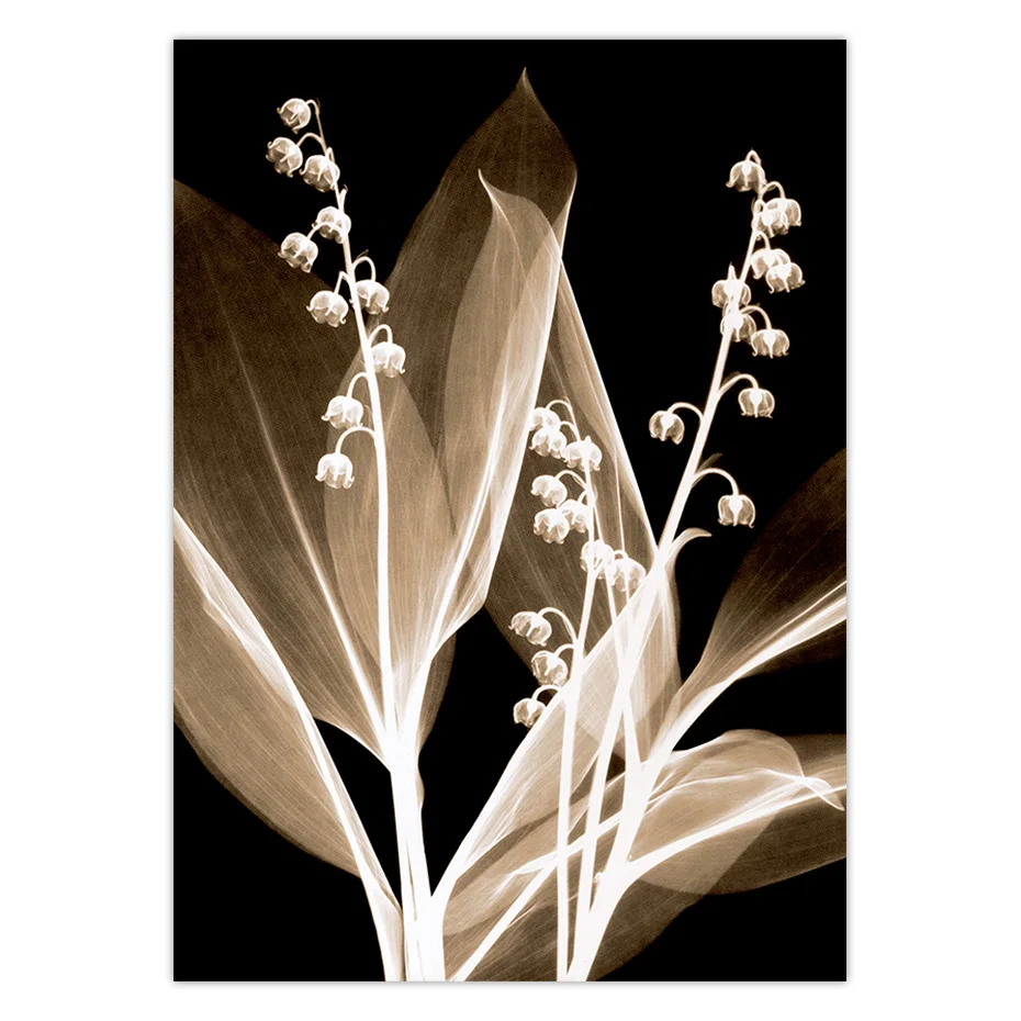 color_opt_4