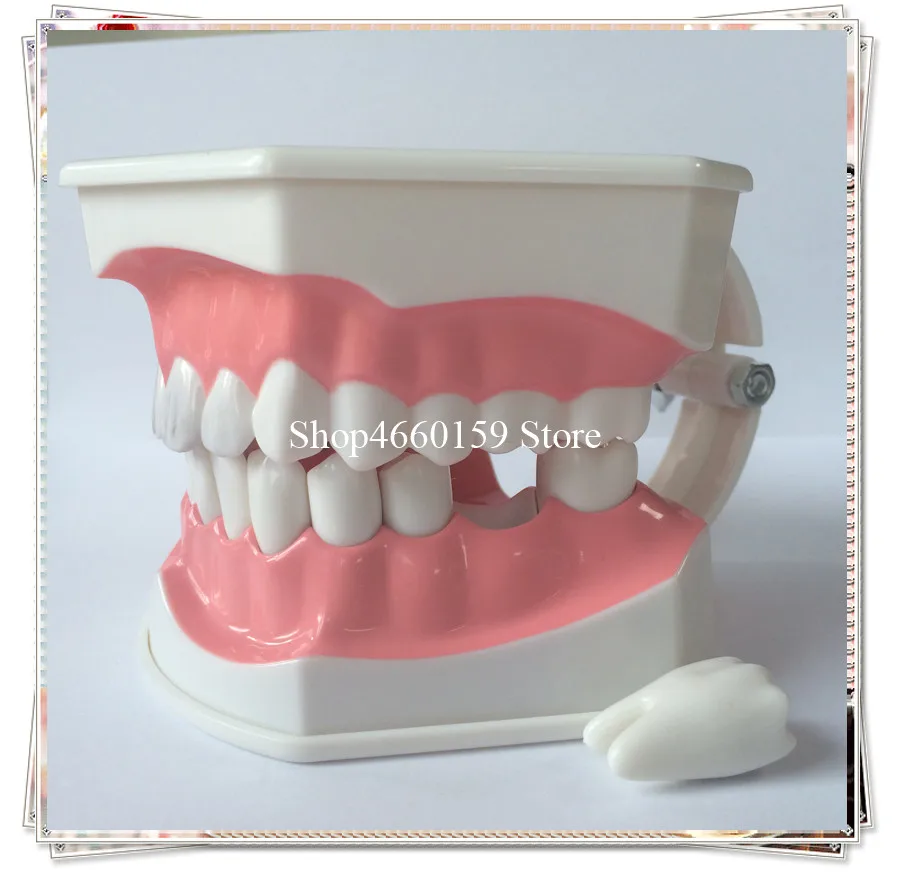teeth brushing model-5