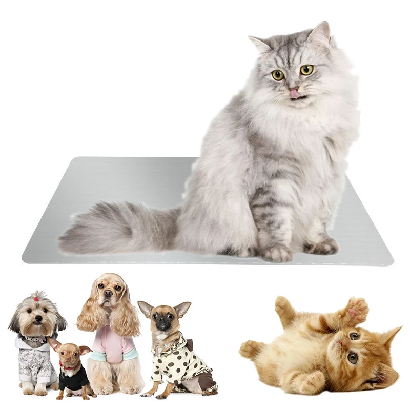 Waterproof Pet Ice Mat Dog Cat Solid Color Blanket Metal Kitten Puppy Cooling Carpet Hamster Rabbit Sleeping Freeze Sofa Seat
Waterproof Pet Ice Mat Dog Cat Solid Color Blanket Metal Kitten Puppy Cooling Carpet Hamster Rabbit Sleeping Freeze Sofa Seat