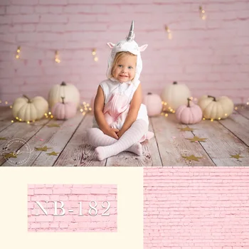 MEHOFOTO Photography Background Solid Pink Brick Wall Warm New Born Baby Birthday Theme Backdrop Professional Photo Studio
MEHOFOTO Photography Background Solid Pink Brick Wall Warm New Born Baby Birthday Theme Backdrop Professional Photo Studio