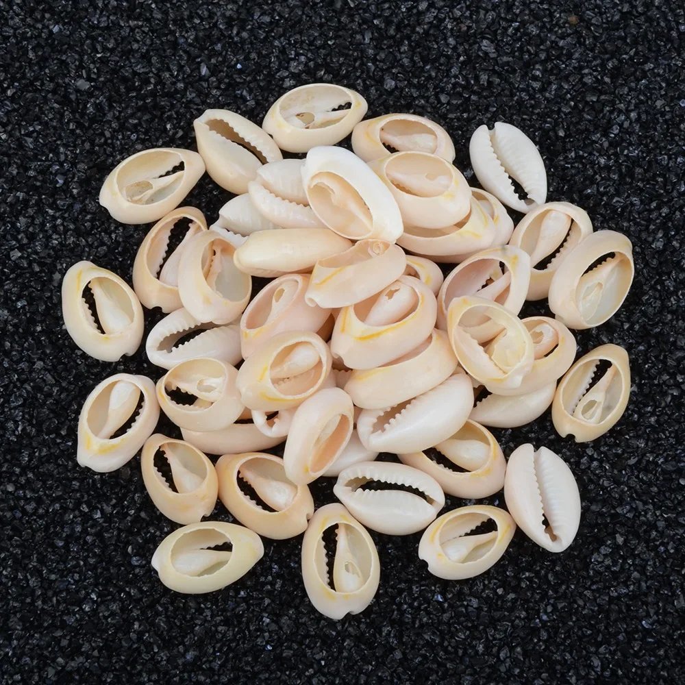 50pcs 1.8-2cm Small Bulk Cut Beach Sea Natural Shell Conch Beads Cowry Cowrie Tribal Jewelery Craft Accessories holes DIY PAT32
50pcs 1.8-2cm Small Bulk Cut Beach Sea Natural Shell Conch Beads Cowry Cowrie Tribal Jewelery Craft Accessories holes DIY PAT32