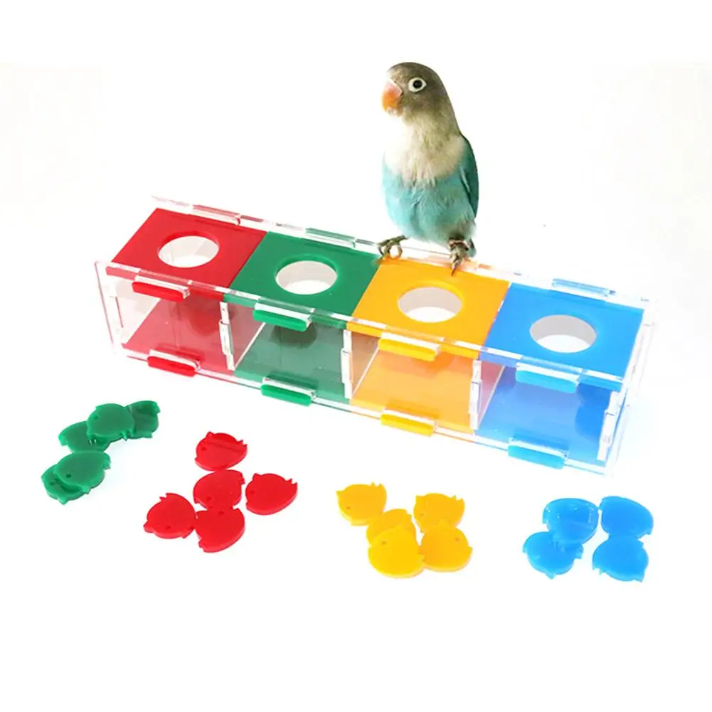 Parrot Toy Color Separation Coin Box Intelligence Training Interactive Playing Toy For Parrot Cockatoo Cockatiel Budgie Parakeet
Parrot Toy Color Separation Coin Box Intelligence Training Interactive Playing Toy For Parrot Cockatoo Cockatiel Budgie Parakeet