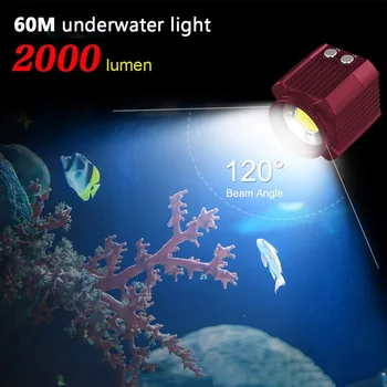 Mini Photography Lighting Underwater LED Light IP68 Waterproof Video Dive Flashlight Super Bright for GoPro/Camera/Smart Phone
Mini Photography Lighting Underwater LED Light IP68 Waterproof Video Dive Flashlight Super Bright for GoPro/Camera/Smart Phone