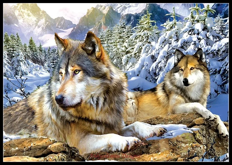 Embroidery Counted Cross Stitch Kits Needlework - Crafts 14 ct DMC Color DIY Arts Handmade Decor - Snow Wolves 3
Embroidery Counted Cross Stitch Kits Needlework - Crafts 14 ct DMC Color DIY Arts Handmade Decor - Snow Wolves 3