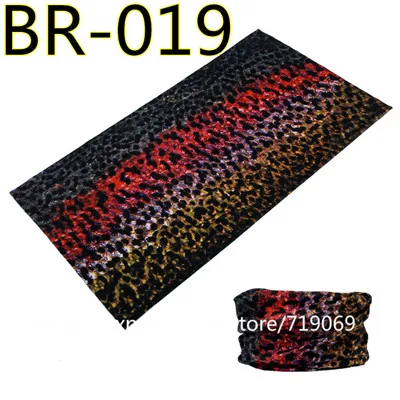 BR-019-5446