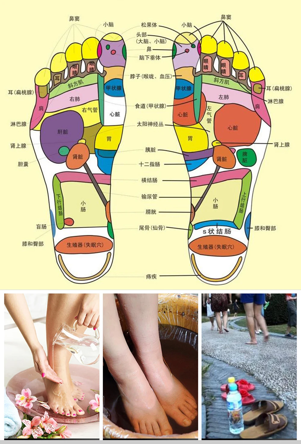 Massage Insoles Magnetic Acupoint-7