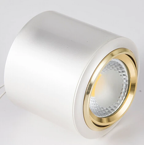 2016 Hot Dimmable10W/15W Surface Mounted COB LED Downlights Adjustable AC85-265V White/Warm White/Cool White Gold/Silver Color
2016 Hot Dimmable10W/15W Surface Mounted COB LED Downlights Adjustable AC85-265V White/Warm White/Cool White Gold/Silver Color