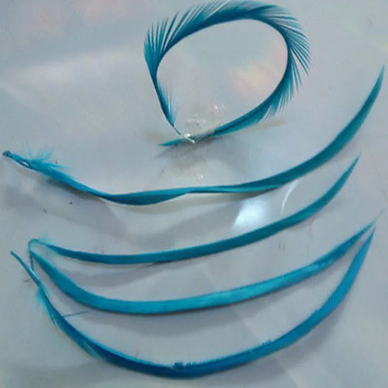 wholesale beatiful 10pcs high quality natural pheasant feathers 15-20cm /6-8inch decorative diy Sky blue
wholesale beatiful 10pcs high quality natural pheasant feathers 15-20cm /6-8inch decorative diy Sky blue