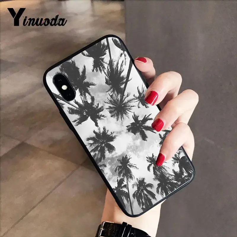 Black white palm leaves palm trees