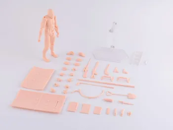 Body Kun Archetype Figma He SHE Ver Action Figure Skin Color DIY Figure Bodykun Model
Body Kun Archetype Figma He SHE Ver Action Figure Skin Color DIY Figure Bodykun Model