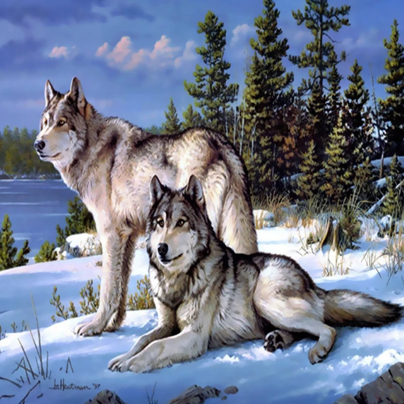 5D DIY New Animals Two Wolves Diamond Embroidery Diamond Painting Cross Stitch Picture Rhinestones Full Round Diamond Mosaic
5D DIY New Animals Two Wolves Diamond Embroidery Diamond Painting Cross Stitch Picture Rhinestones Full Round Diamond Mosaic