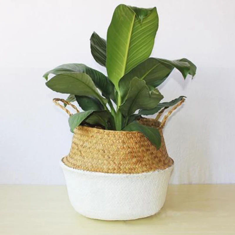 Flower Vase Home Storage Basket Pot Planter Organization Storage Basket Rattan Straw Basket Wicker Seagrasss Folding Flower Pot
Flower Vase Home Storage Basket Pot Planter Organization Storage Basket Rattan Straw Basket Wicker Seagrasss Folding Flower Pot