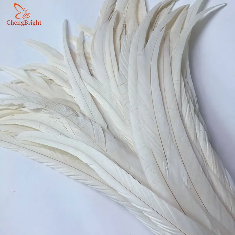 ChengBright Wholesale 50PCS 30-35CM New Beige Rooster tail Feathers For Decoration Craft Feather Christma Diy Pheasant Feather
ChengBright Wholesale 50PCS 30-35CM New Beige Rooster tail Feathers For Decoration Craft Feather Christma Diy Pheasant Feather