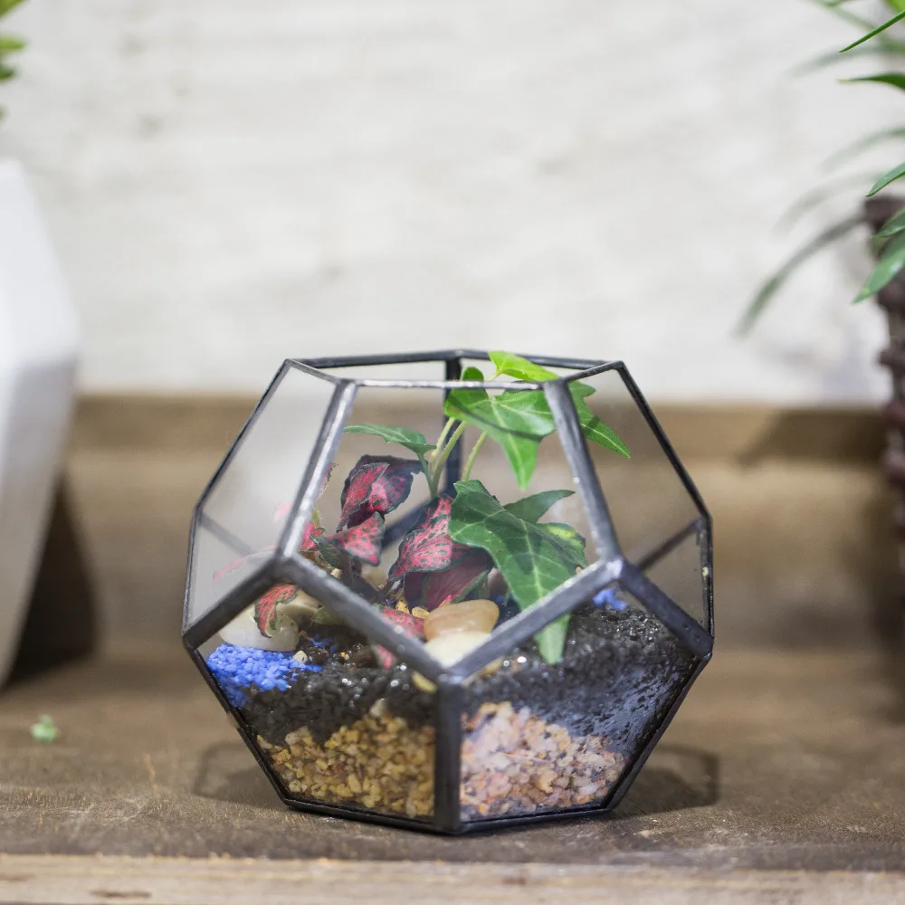 

Прозрачный Пятиугольный додекаэдрон ручной работы, стеклянный геометрический Террариум, суккулент, папоротник, мох, растение, микробенд, бонсай, цветочный горшок